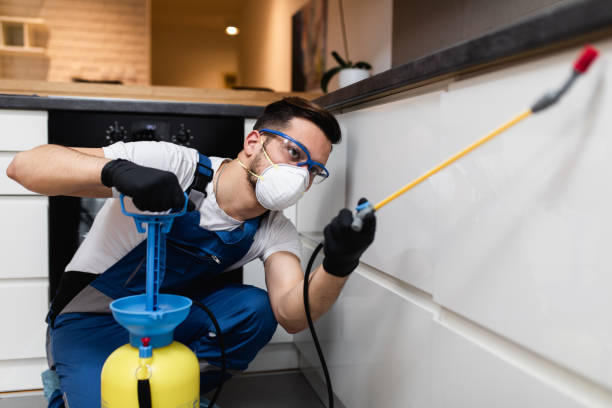Best Affordable Pest Control Services  in Chico, CA